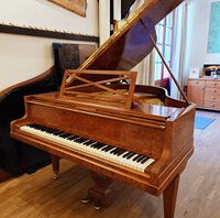 Pleyel F loupe d'orme de 1928 - vue 4