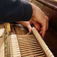 Pleyel F 1929 - harmonisation