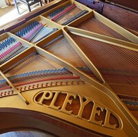 Pleyel F palissandre frisé 1931 - vue du cadre 2