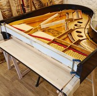 Steinway mod. O de 1902 - préparé pour la mise en cordes