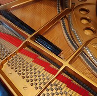 Pleyel F loupe d'orme de 1928 - vue 4