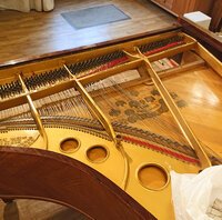 Steinway mod. O de 1911 - retrait des cordes