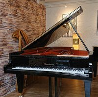 Bösendorfer 213, vue de face