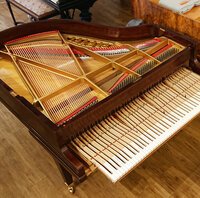 Pleyel F 1929 - prêt pour le dressage de clavier