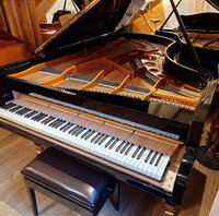 Bösendorfer 225 noir verni de 1973 - vue 2