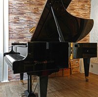 Bösendorfer 213, vue générale