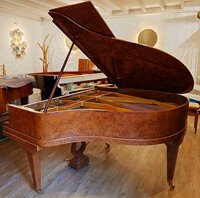 Pleyel F loupe d'orme de 1928 - vue 2
