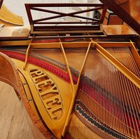 Pleyel F loupe d'orme de 1928 - vue 3