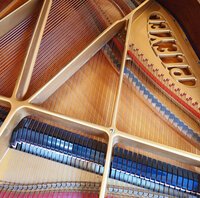 Pleyel F palissandre frisé 1931 - vue du cadre