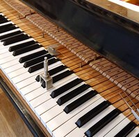 Steinway mod. O de 1902 - dressage du clavier