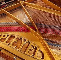 Pleyel F loupe d'orme de 1928 - vue 5