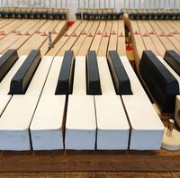 Pleyel 1bis 1903 - rectification du clavier • comme souvent sur les Pleyel anciens, certaines touches sont voilées