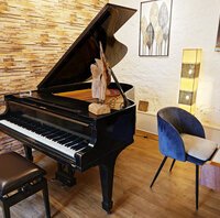 Steinway M-170 noir verni de 1929 - vue 2