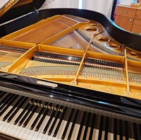 Bechstein M-180 de 1989 - 5