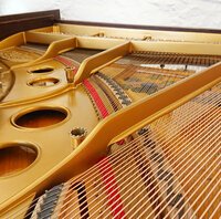 Steinway mod. O de 1911 - mise en cordes terminée