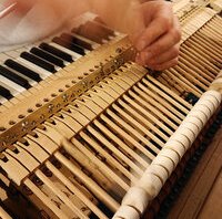 Pleyel F 1957 - remise en place d'une travée de marteaux après ponçage