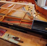 Steinway A-188 - dépose des étouffoirs