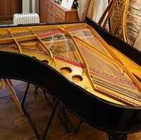 Steinway mod. O de 1902 - mise en cordes terminée