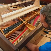 Steinway mod. O de 1911 - remise en place des étouffoirs • après re-garnissage de la galerie d'étouffoirs et révision des bascules, mécanique réglée, les étouffoirs sont remis en place