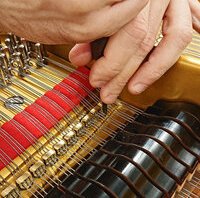 Pleyel F 1957 - Mise à niveau des cordes