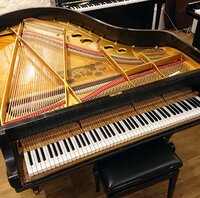 Steinway mod. O de 1902 - première tension des cordes • clavier et mécanique remis en place