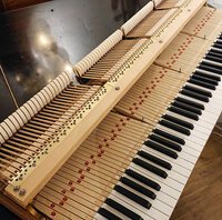 Pleyel F 1929 - clavier et mécanique réglés