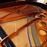 Bösendorfer 170 noir verni de 1978 en vente