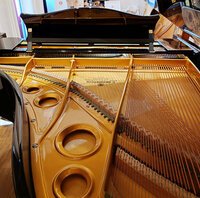 Bechstein M-180 de 1989 - 6