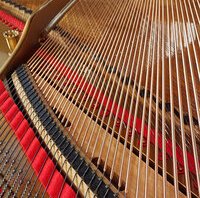 Steinway O - vue des cordes filées