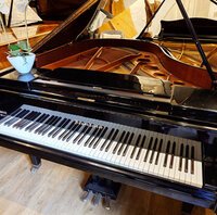 Bösendorfer 170 noir verni de 1978 à vendre
