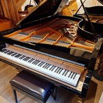Bosendorfer 225 1973 02b