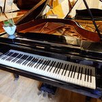 Bosendorfer 170 1978 01