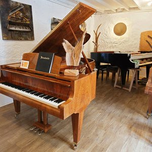 Bosendorfer 200 1975 bb 01