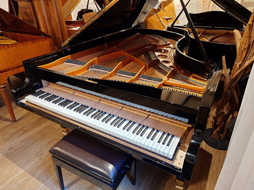 Bösendorfer 225 noir verni de 1973 - vue 2