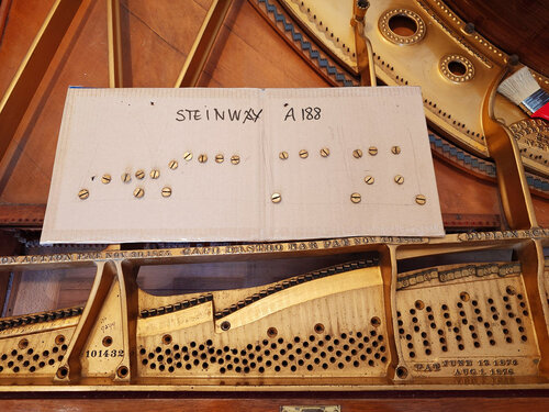 Steinway A-188 de 1901 - vis de sommier