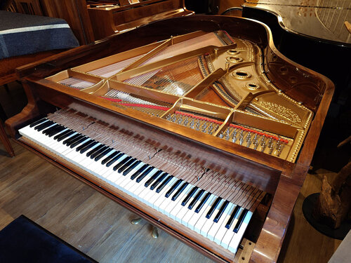 Steinway A-188 de 1901 - première mise au ton