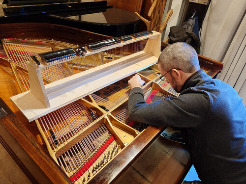 Steinway A-188 - suite du montage des étouffoirs