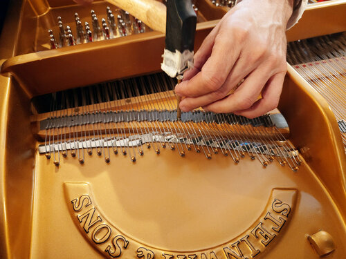 Steinway A-188 - cordes sur le chevalet
