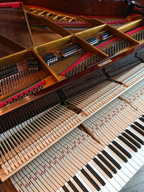 Pleyel F 1965 - réglage - Après entretien complet en atelier, réglage chez les propriétaires du piano.