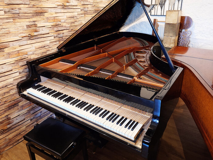 Bosendorfer 225 1974